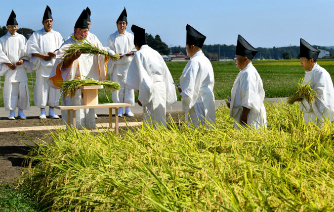 Ritual Sagrado do Arroz: Apenas Use Arroz Dessa Maneira e Receba Qualquer Pedido em 7 Dias post thumbnail image