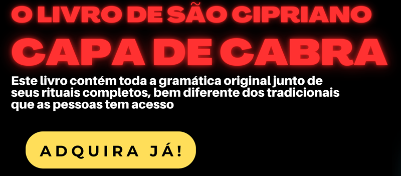 capa banner