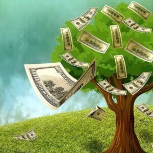 Manifestação de Dinheiro: O Guia Completo Para Ativar a Prosperidade de Forma Consciente